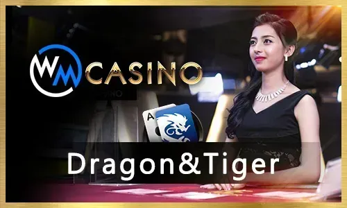 Taya365 Online Poker Tournaments
