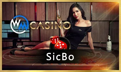 Taya365 Online Bingo Variety